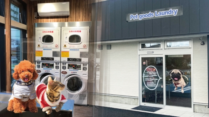 【事例つき】ペット専用ランドリーってどうなの?開業のメリット・デメリット